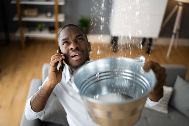 Best Ceiling water damage repair  in Lutcher, LA