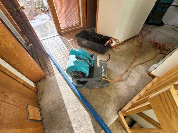 Best Water damage restoration cost  in Lutcher, LA