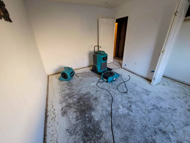 Best Flood restoration services  in Lutcher, LA