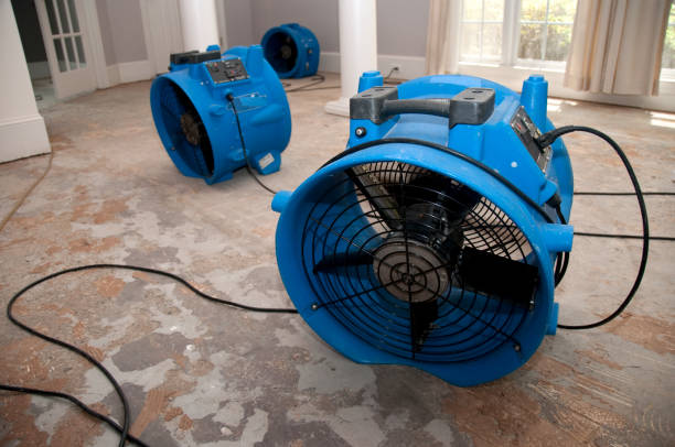 Best Water damage restoration insurance claims  in Lutcher, LA