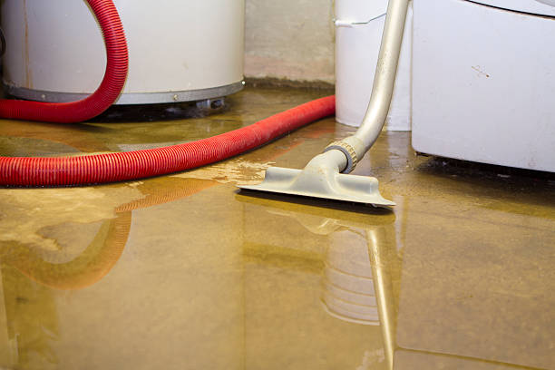 Best Emergency water damage restoration  in Lutcher, LA