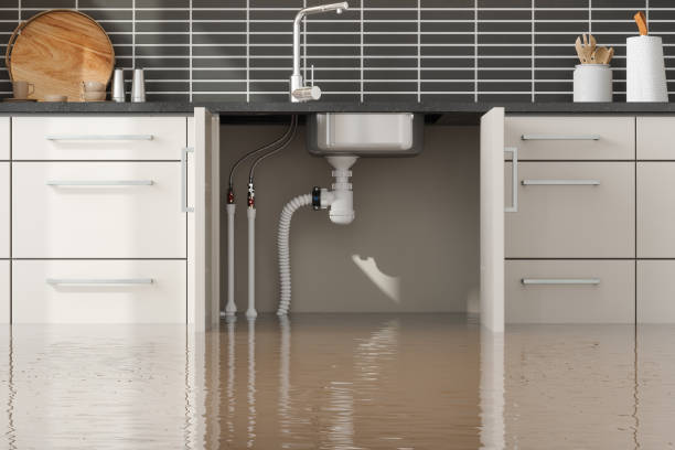 Best Professional water damage repair  in Lutcher, LA
