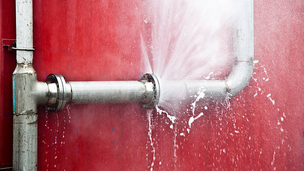 Best Ceiling water damage repair  in Lutcher, LA
