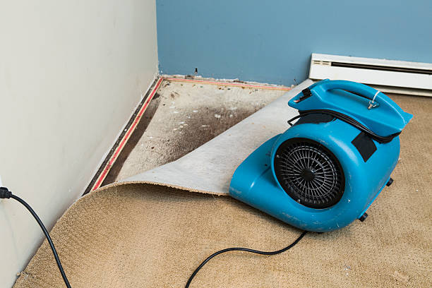 Best 24/7 water damage repair  in Lutcher, LA